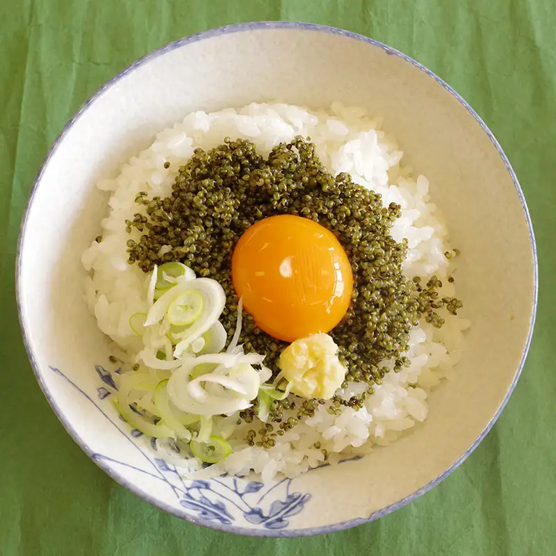 60P3206 大館産とんぶり170g×3