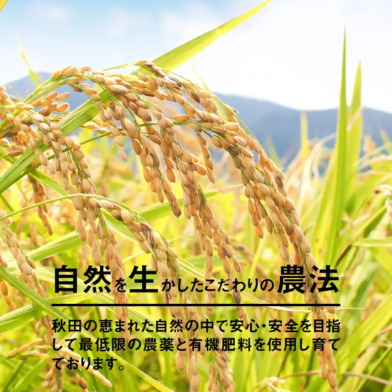 【令和7年産】さいとうさん家のあきたこまち5kg(5kg×1袋)　70P9018