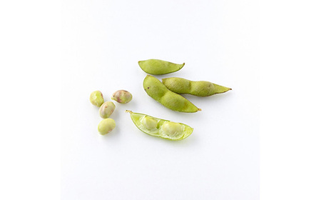 【令和8年産 先行予約】丹波篠山産 黒枝豆（サヤのみ）1kg×2袋〈初摘み 10/7～13発送〉 枝豆 [AQ16]
