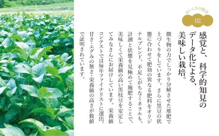 ※有機黒枝豆　予約受付中！※ 2026年10月以降発送　丹波篠山産　有機黒枝豆　1kg 令和8年産 2026年産 プレミアム枝豆 日本三大枝豆　丹波篠山黒枝豆 大粒 丹波 黒豆 丹波黒 黒大豆 濃厚 美味しい 旬 ご当地 お取り寄せ グルメ [BF01]