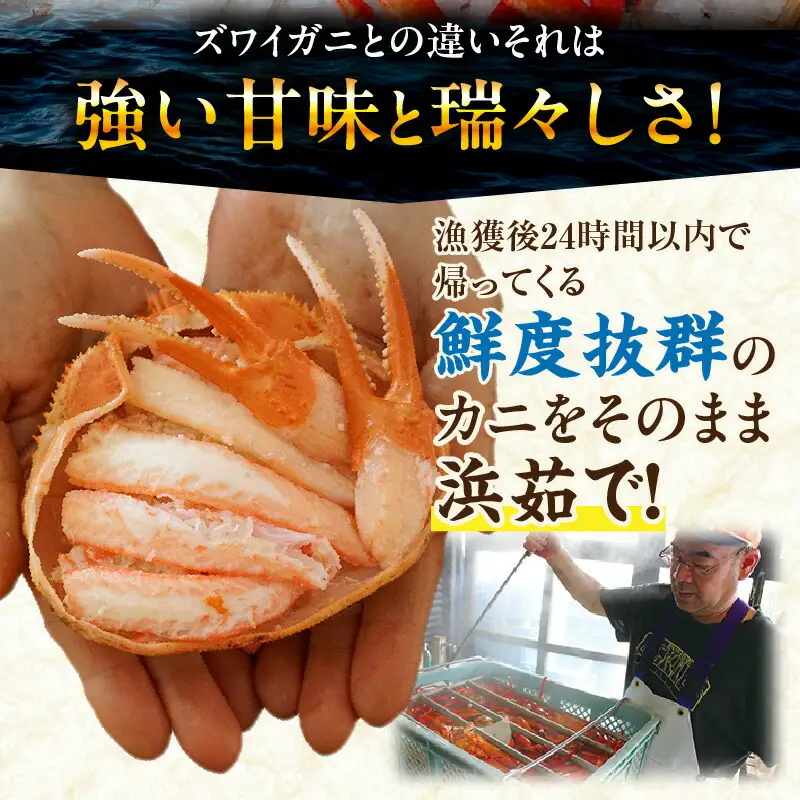 釜茹で香住ガニ甲羅盛り 200g（甲羅重量除く）×3個 カニ 蟹 07-33