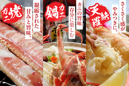 香住ガニ 生足 6肩 冷凍 カニ かに 07-35