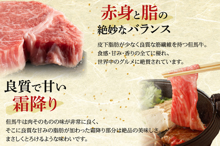 但馬牛 切り落とし 500g 冷凍 牛肉  02-02