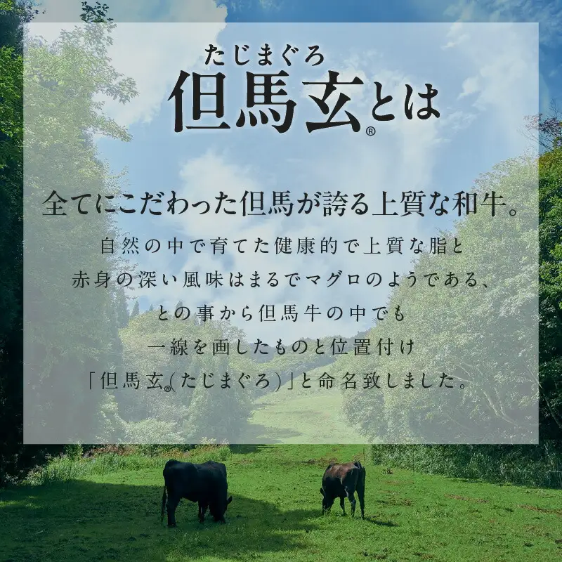 究極の但馬牛 但馬玄 メンチカツ 冷凍 TVで紹介 牛肉 01-03