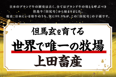但馬牛 但馬玄 サーロイン ステーキ 1kg 冷凍 TVで紹介 牛肉 01-09