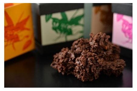 HAKODATEショコラギフト チョコレート 五稜屑ショコラ ボンボンショコラ 化粧箱 贈答用 お菓子 スイーツ 西洋菓子 おしゃれ 冷蔵配送 おやつ 北海道 函館市 ふるさと納税_HD036-006
