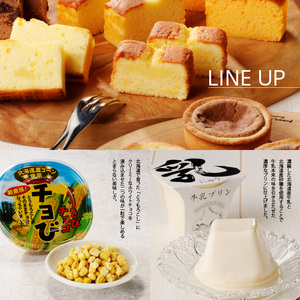函館ハイカラ 洋菓子 14品目 セット チーズタルト チョコタルト タルト カマンベール チーズケーキ チョコケーキ チョび バター飴 ハッカ飴 飴 乳 牛乳プリン りんごゼリー メロンゼリー カステラ 北海道 函館 送料無料 お取り寄せグルメ_HD017-003