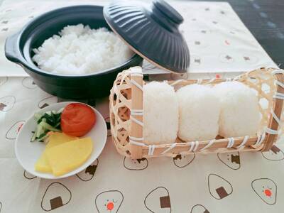 【令和7年度産】《新米》大和米　奈良県広陵町産ヒノヒカリ白米10kg/// ひのひかり ヒノヒカリ ブランド米 白米 ご飯 お米 大和米 おにぎり おむすび 安心 安全 美味しい 人気 直送 奈良県 広陵町