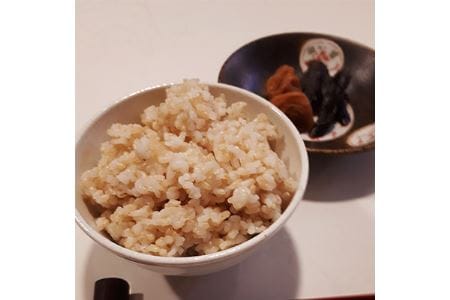 【令和7年度産】《新米》色彩選別加工済大和米 奈良県広陵町ヒノヒカリ玄米10kg /// ひのひかり ヒノヒカリ ブランド米 玄米 ご飯 お米 大和米 おにぎり おむすび 安心 安全 美味しい 人気 直送 奈良県 広陵町
