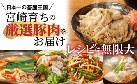 宮崎県産豚肉切り落とし合計4kg(冷凍500g×8パック) 豚肉 切り落し 肉