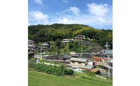 ほのぼのみそ900グラム・無添加つけもの4種詰め合わせ（季節のお野菜、京田辺市高船産） 米味噌 漬物 