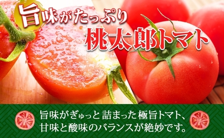 北海道 高橋農園 桃太郎トマト 4kg以上 M～Lサイズ (18玉～24玉) 5月下旬～9月上旬頃お届け 大玉トマト tomato 産地直送 農家直送 新鮮 野菜 安心 安全 とれたて 完熟 洞爺湖町 送料無料
