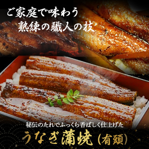 うなぎ蒲焼き （260gx1本） うなぎ たれ付き 国産鰻 ／Esu-40