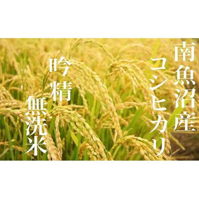 【令和7年産】【頒布会8Kg×全9回】無洗米 吟精 南魚沼産コシヒカリ【定期便 銘柄米 ブランド米 無洗米 こしひかり コシヒカリ 魚沼産 新潟米 産地直送 お米 米 こめ コメ ご飯 御飯 ごはん】