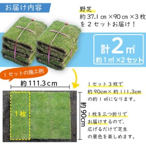 天然芝＜野芝＞2平米! 芝 芝生 天然 天然芝 DIY グランドカバー ガーデニング 野芝  鹿児島県 お庭 a1-110