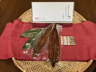 【期間限定】三河産　超特大うなぎ「蒲焼冷凍×2尾」・A090-17