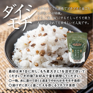 isa256 《訳あり・数量限定》鹿児島県伊佐市産もち麦！＜ダイシモチ＞(計3kg・500g×6袋) 国産 九州産 訳あり 麦 ごはん 穀類 お米 ヘルシー 腸活 食物繊維【社会福祉法人ひまわり福祉会】