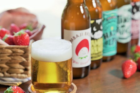 【クラフトビール】西脇市産いちごのフルーツエール「シュガーストロベリー」5本セット／12-43