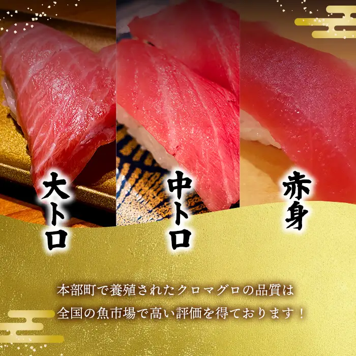 本マグロづくし（大トロ・中トロ・赤身） 本部町産 約800g～1000g マグロ