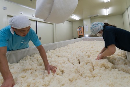 ＜飲み比べ5本セット＞ 酒 大雪渓 雪だより五重奏 300mlx5 [大雪渓酒造 長野県 池田町 48110531]