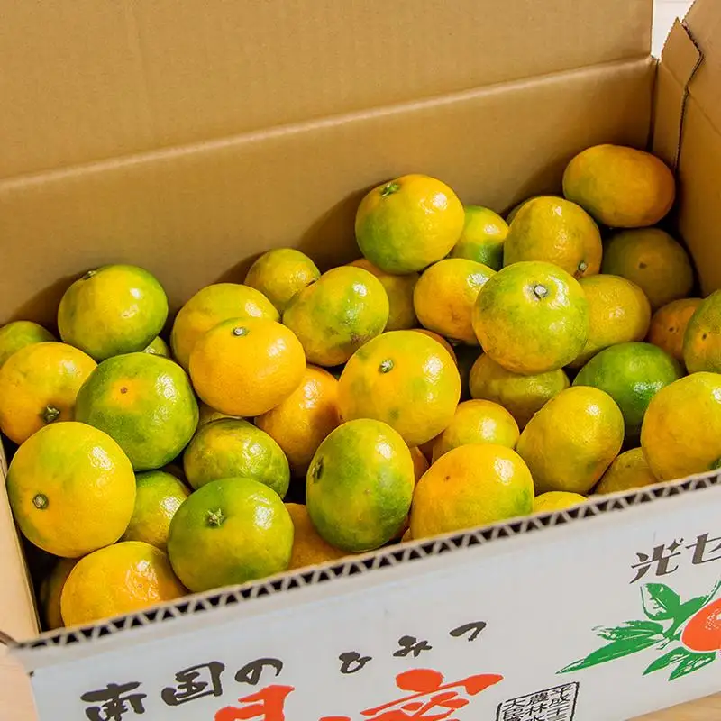 【先行予約】極早生みかん「南国の陽蜜」5kg 糖度10.5度以上＜2-5a＞