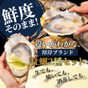 北海道 厚岸産 殻付牡蠣の食べ比べセット！（生食用）  牡蠣 カキ かき 生食 生食用 生牡蠣  食べ比べ 魚貝類 
