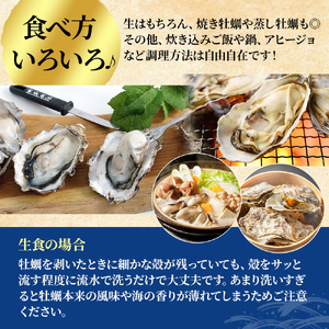 牡蠣 あさり カキはお手軽、あさりは砂出し済みおいしい2種 セット 生食 むき身 生牡蠣 貝 海鮮 魚介類 食べ比べ