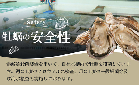 北海道 牡蠣 3種 食べ比べ セット 厚岸オイスター★オールスターズ 生食 生牡蠣 貝付き牡蠣 貝 海鮮 魚介類 殻付き牡蠣 カキ 