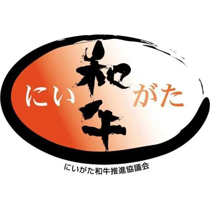 雪温貯蔵にいがた和牛＆魚沼そだち雪ひかりポーク合挽ハンバーグ