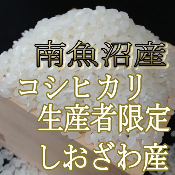 【令和7年産】【定期便】生産者限定 契約栽培　南魚沼しおざわ産コシヒカリ（10Kg×9ヶ月）【定期便 銘柄米 ブランド米 精米 こしひかり コシヒカリ 魚沼産 新潟米 産地直送 お米 米 こめ コメ ご飯 御飯 ごはん】