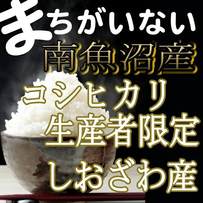 【令和7年産】【定期便】生産者限定 契約栽培　南魚沼しおざわ産コシヒカリ（15Kg×6ヶ月）【定期便 銘柄米 ブランド米 精米 こしひかり コシヒカリ 魚沼産 新潟米 産地直送 お米 米 こめ コメ ご飯 御飯 ごはん】