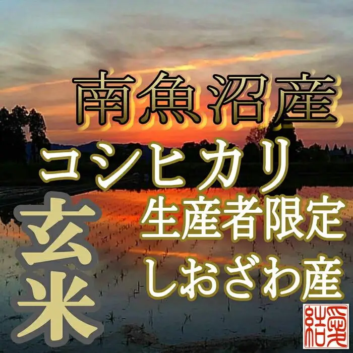 【令和7年産】【定期便】玄米 南魚沼しおざわ産コシヒカリ5Kg×12ヶ月【定期便 銘柄米 ブランド米 玄米 こしひかり コシヒカリ 魚沼産 新潟米 産地直送 お米 米 こめ コメ ご飯 御飯 ごはん】