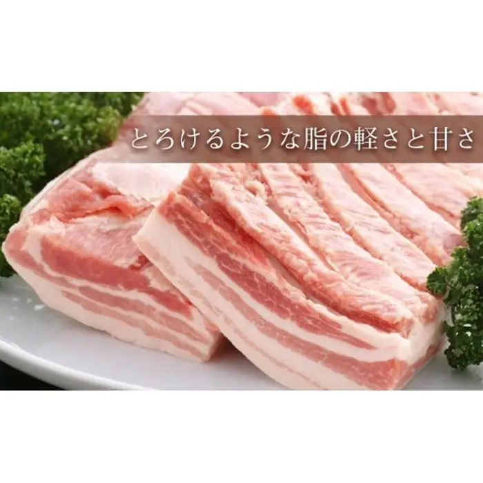 越後もちぶたしゃぶしゃぶセット