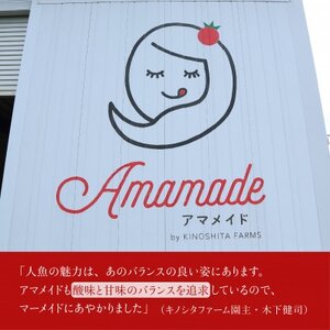 【1kg】ミニトマト 糖度8以上 アマメイド 　リピーター続出の人気野菜【1502576】