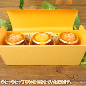 国産 はちみつ 100g 3本  西浦 みかん はちみつ