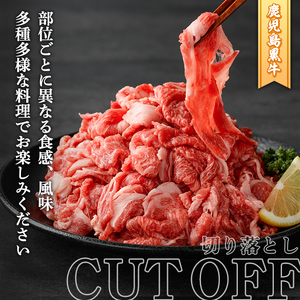 数量限定！鹿児島黒牛切り落とし(計約700g・350g×2パック)国産 九州産 鹿児島産 国産牛 切落し すき焼き 肉じゃが ウデ肉 モモ肉 バラ肉 牛モモ 牛バラ セット 詰め合わせ 詰合せ 【鹿児島いずみ農業協同組合】akn018-17