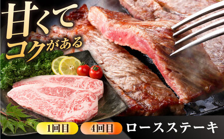【6回定期便】佐賀県産 黒毛和牛 定期便 / 牛肉 [IAG069]