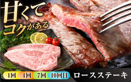 【12回定期便】佐賀県産 黒毛和牛 定期便 / 牛肉 [IAG070]