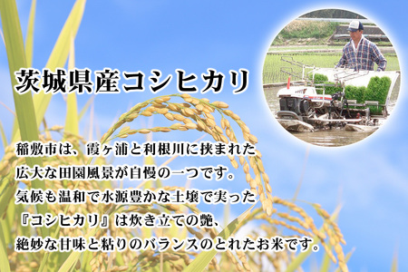 【令和7年産】お米の王様！茨城県産 コシヒカリ 白米 10kg (5kg×2袋) [2100]