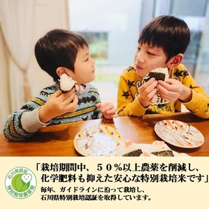 【日本農業賞大賞】厳選プレミアム米4.5kg精白米(特別栽培米コシヒカリ)【定期便2カ月連続】 お米 2ヶ月 2回 