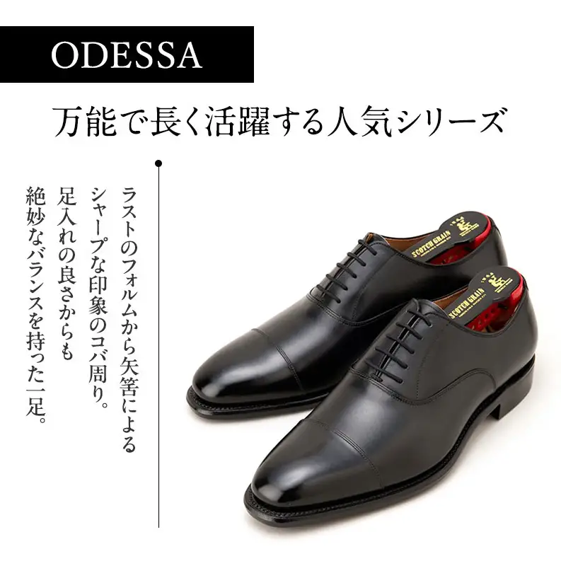 スコッチグレイン ビジネスシューズ メンズ オデッサ 916 ストレートチップ 革靴 本革 日本製 E 送料無料 父の日 ギフト 23.5cm