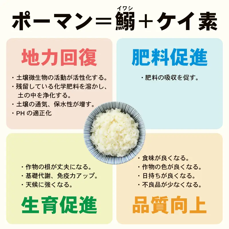 【令和7年産】 特別栽培米 コシヒカリ 無洗米 5kg 低農薬 / 北陸 福井県産 あわら市 ブランド米 白米 お米 コメ 特栽米 [aw056-a025]
