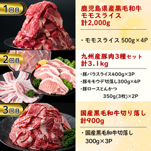 【定期便・全6回】お肉のお楽しみ定期便 総量9.8kg! 牛肉 豚肉 鹿児島県産 九州産 国産 黒毛和牛 ステーキ すきやき しゃぶしゃぶ とんかつ BBQ t0117-002