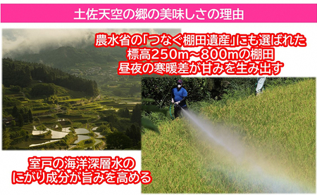 2010年・2016年 お米日本一コンテスト inしずおか 特別最高金賞受賞 土佐天空の郷 にこまる 5kg