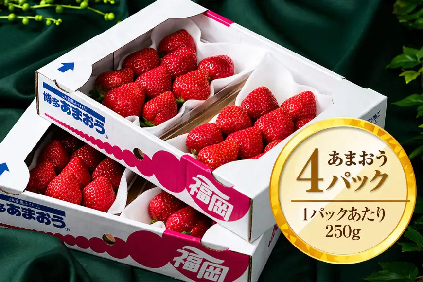 いちご あまおう 冬 4パック [um40azo970040] いちご
