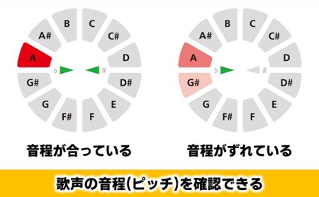【11月上旬お届け】【Roland】ボーカルトレーナー/VT-12-BK【配送不可：離島】 雑貨 日用品 オーディオ機器 
