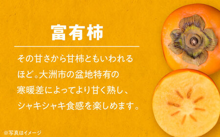 早生みかん＋富有柿（各3kg） 富有柿 みかん【11月上旬より順次発送】[AGBN019]