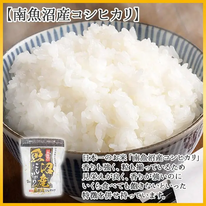 【無地熨斗】｜無洗米｜新潟県 南魚沼産 コシヒカリ お米 2kg×2袋 計4kg（お米の美味しい炊き方ガイド付き）