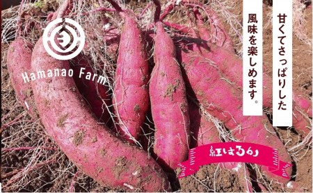 A1-5415／焼き芋アイス 3種類セット(6カップ)