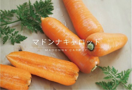  ＜フジテレビ『どっちのふるさと？』で紹介されました！＞無添加 体に優しい極上フルーティーマドンナキャロットジュース 720ml×2本 野菜ジュース ストレート 冬人参 レモン果汁 100% 砂糖不使用 無塩 お見舞い にんじん ニンジン 国産 碧南市 健康 甘い 特産 H105-226